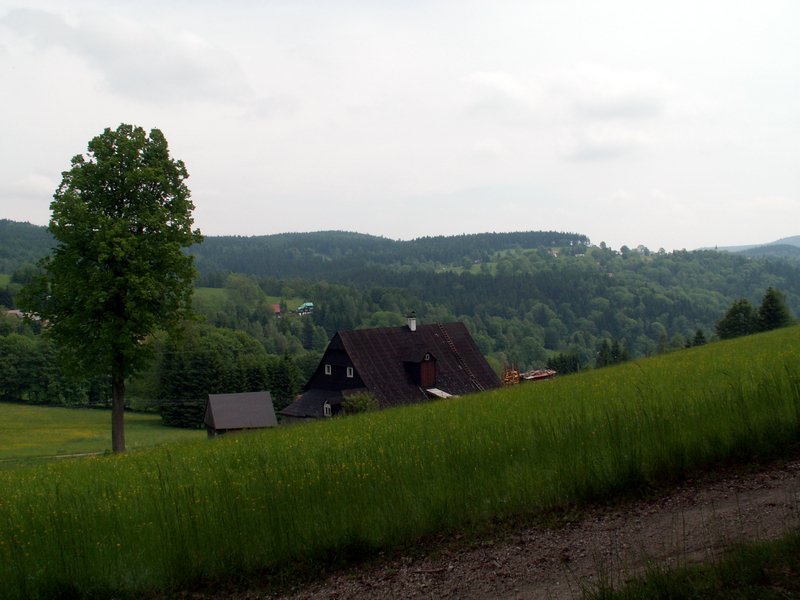 100610_PICT0005.JPG