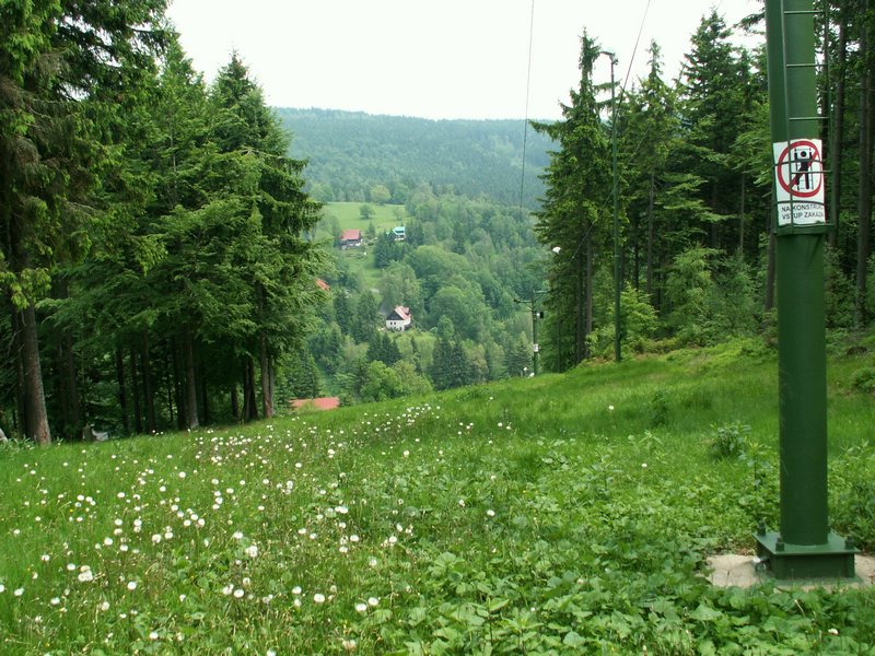 100610_PICT0012.JPG