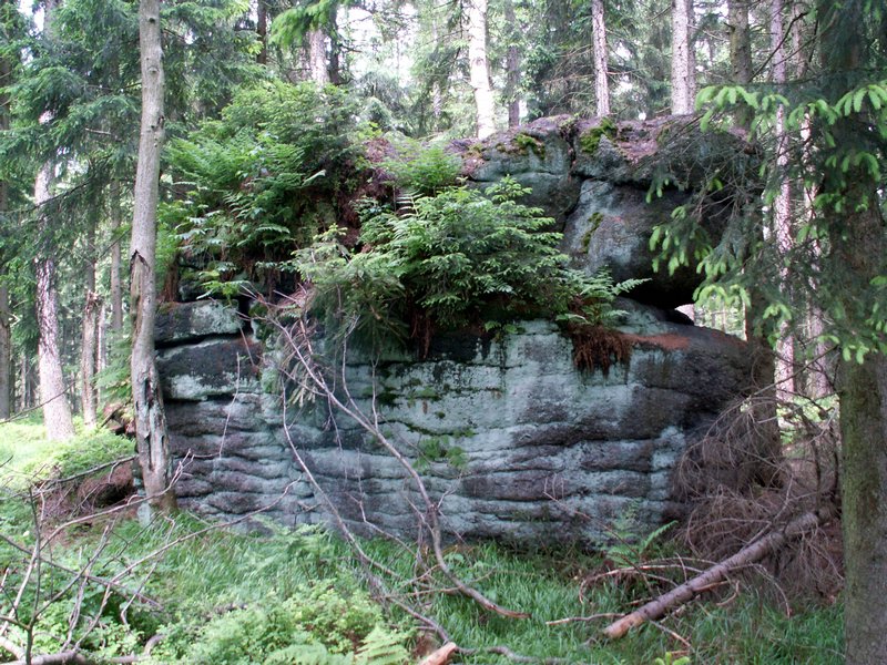 100610_PICT0013.JPG