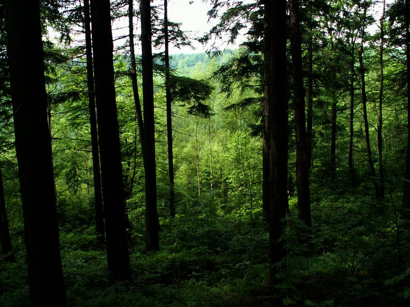 100610_PICT0018.JPG
