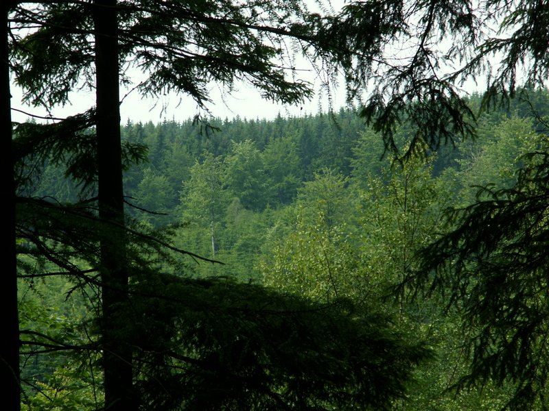 100610_PICT0019.JPG