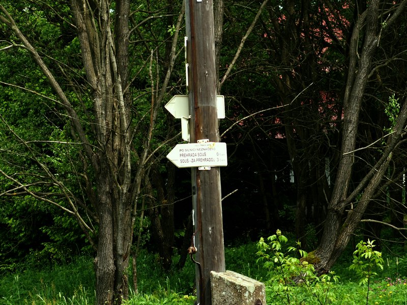 100610_PICT0025.JPG