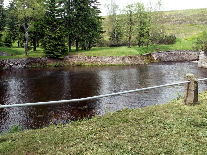100610_PICT0035.JPG