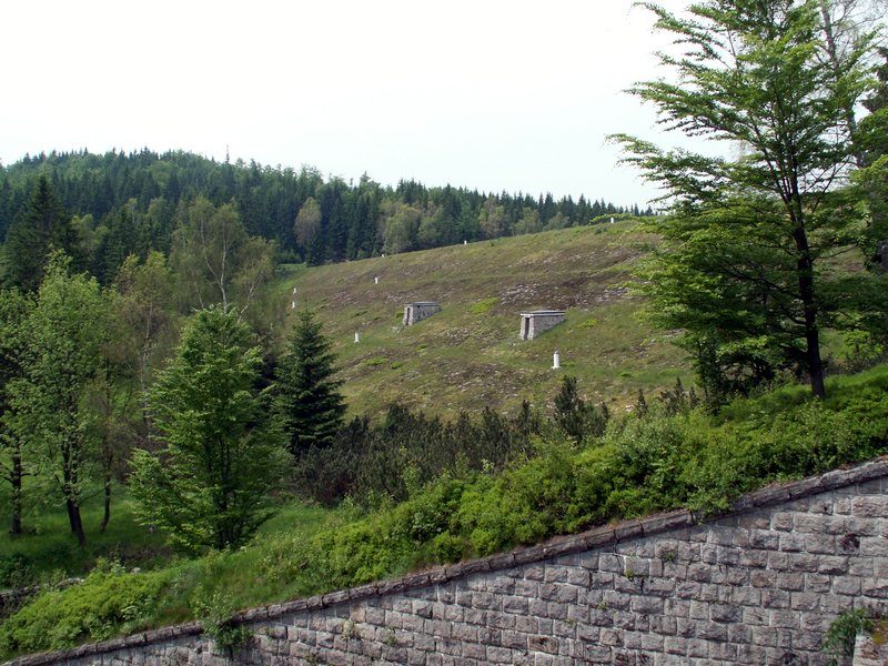 100610_PICT0038.JPG