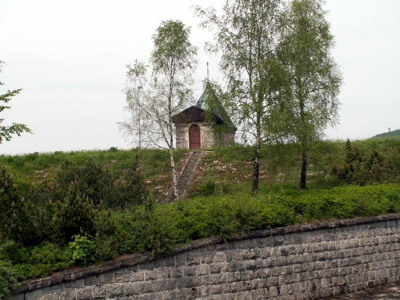 100610_PICT0040.JPG