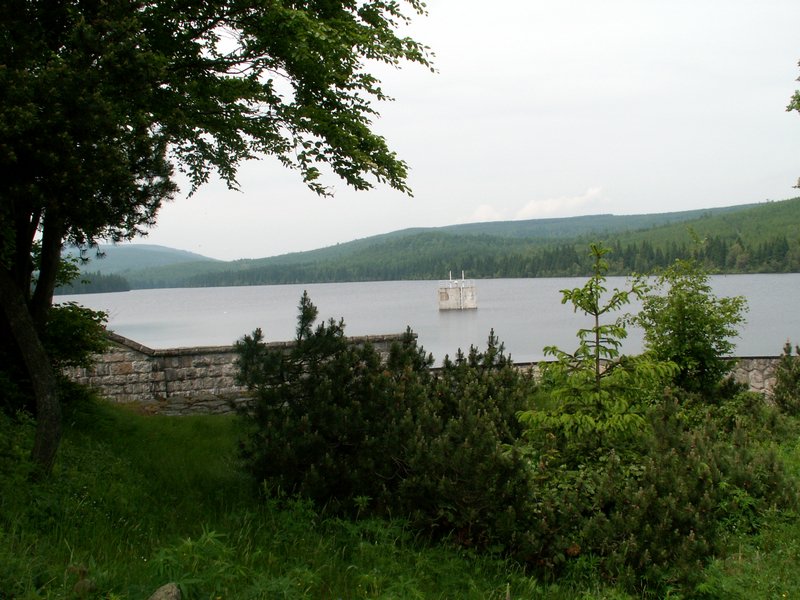 100610_PICT0042.JPG