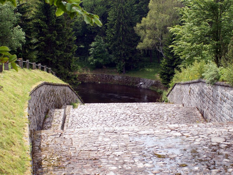 100610_PICT0044.JPG