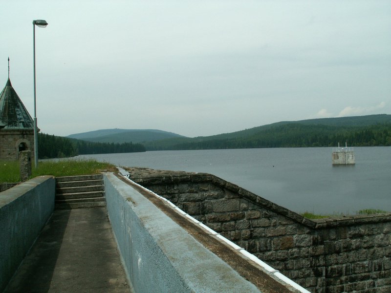 100610_PICT0046.JPG