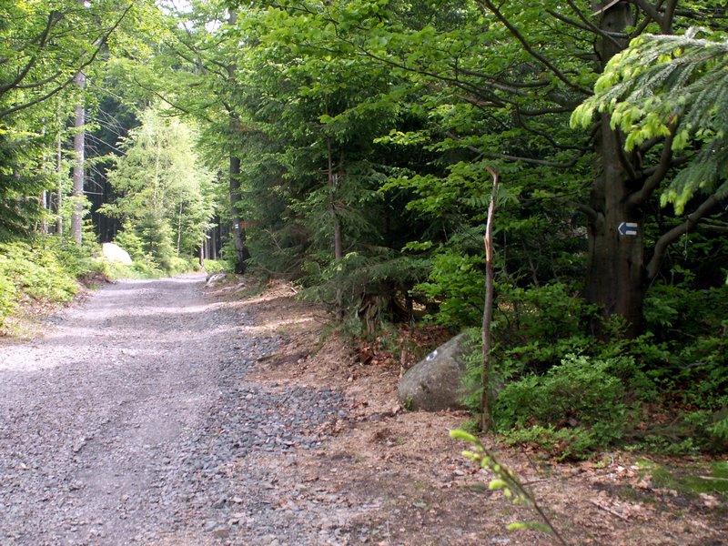 100610_PICT0052.JPG