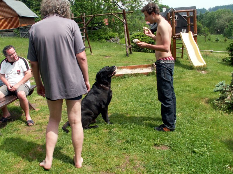 100610_PICT0054.JPG