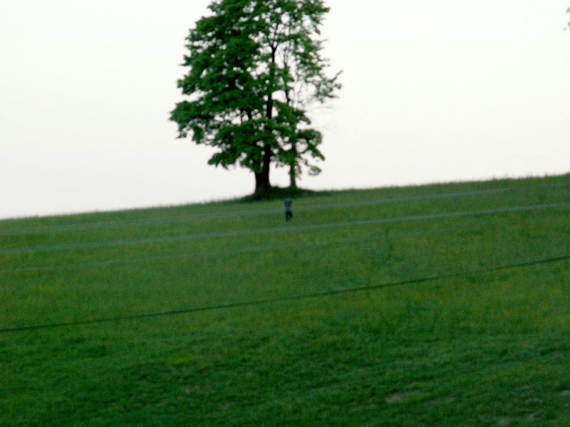 100610_PICT0063.JPG