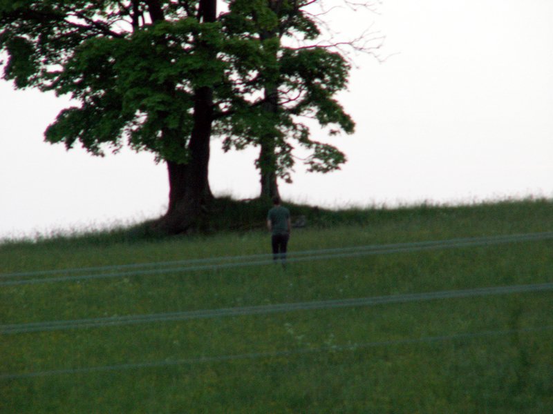 100610_PICT0064.JPG