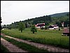 100610_PICT0003.JPG