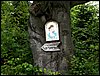 100610_PICT0006.JPG