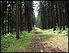 100610_PICT0007.JPG