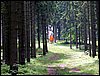 100610_PICT0008.JPG