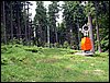100610_PICT0010.JPG