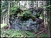 100610_PICT0013.JPG
