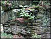 100610_PICT0014.JPG