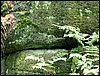 100610_PICT0015.JPG
