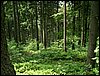 100610_PICT0017.JPG