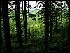 100610_PICT0018.JPG
