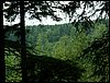 100610_PICT0019.JPG