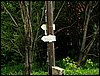 100610_PICT0025.JPG