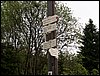 100610_PICT0026.JPG