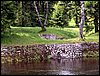 100610_PICT0033.JPG