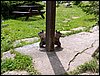 100610_PICT0055.JPG