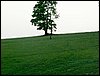 100610_PICT0063.JPG