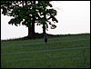 100610_PICT0064.JPG