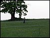 100610_PICT0066.JPG
