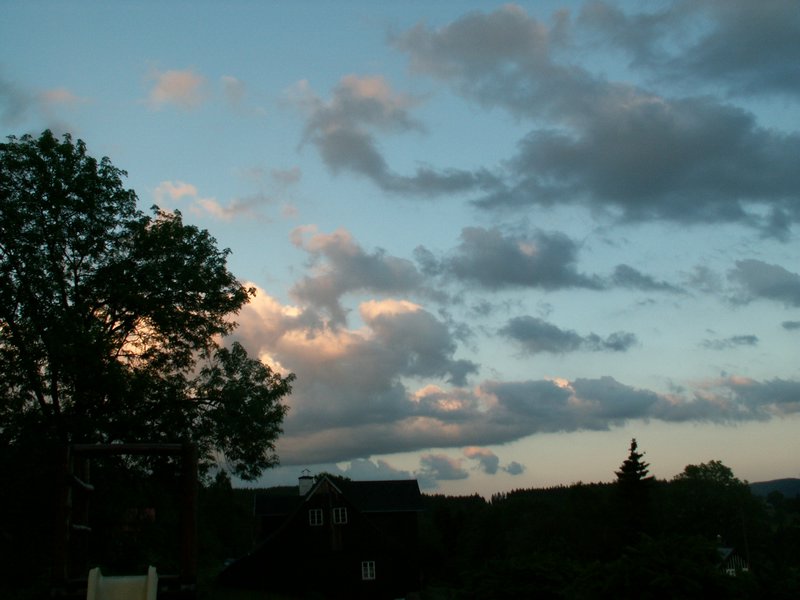 100611_PICT0025.JPG