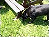 100611_PICT0008.JPG