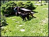 100611_PICT0011.JPG