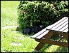 100611_PICT0013.JPG