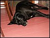 100611_PICT0015.JPG