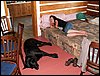 100611_PICT0017.JPG