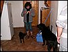 100611_PICT0043.JPG