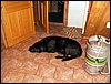 100611_PICT0045.JPG