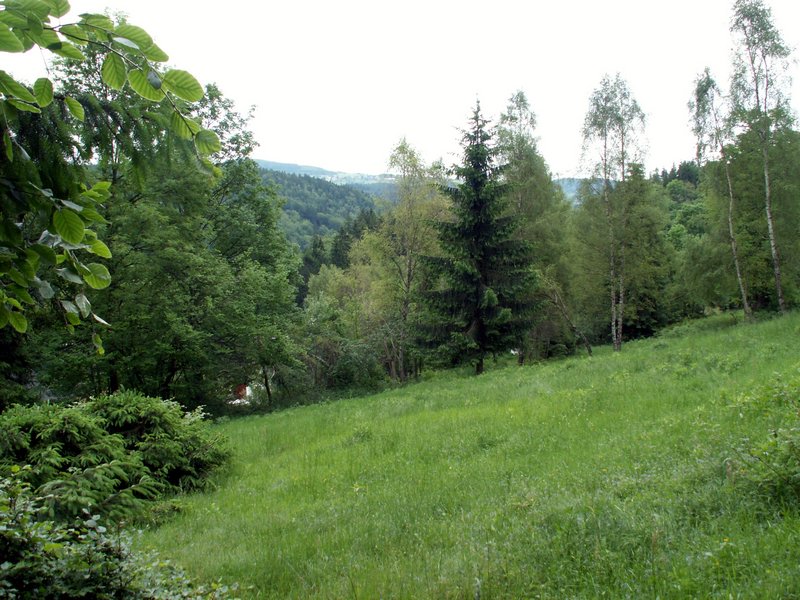 100612_PICT0011.JPG