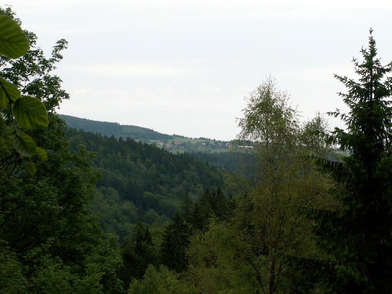 100612_PICT0012.JPG