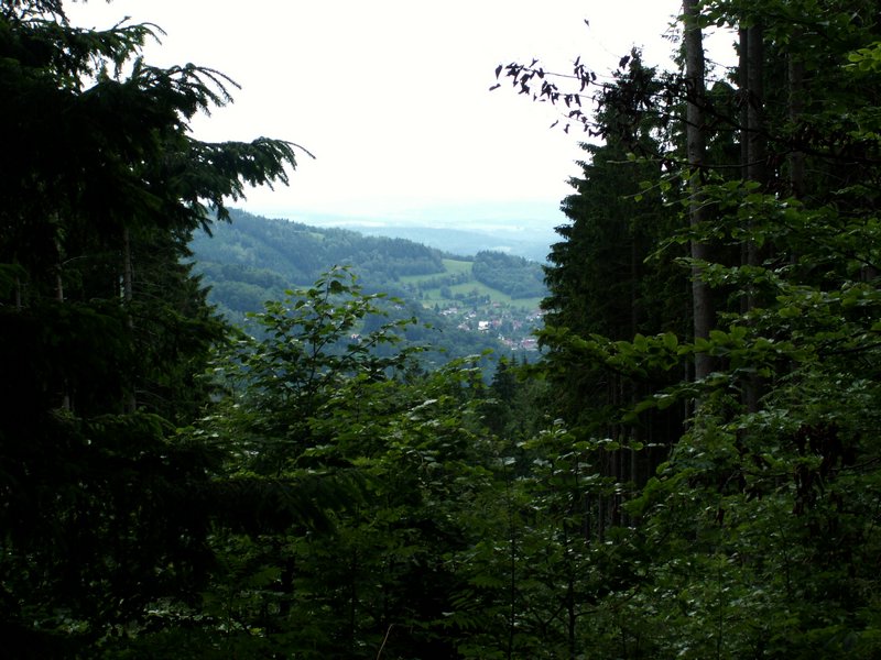 100612_PICT0020.JPG