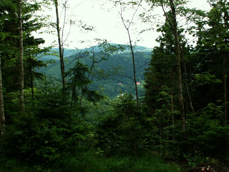 100612_PICT0026.JPG