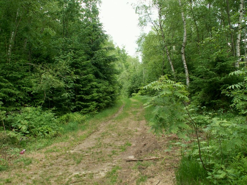100612_PICT0027.JPG
