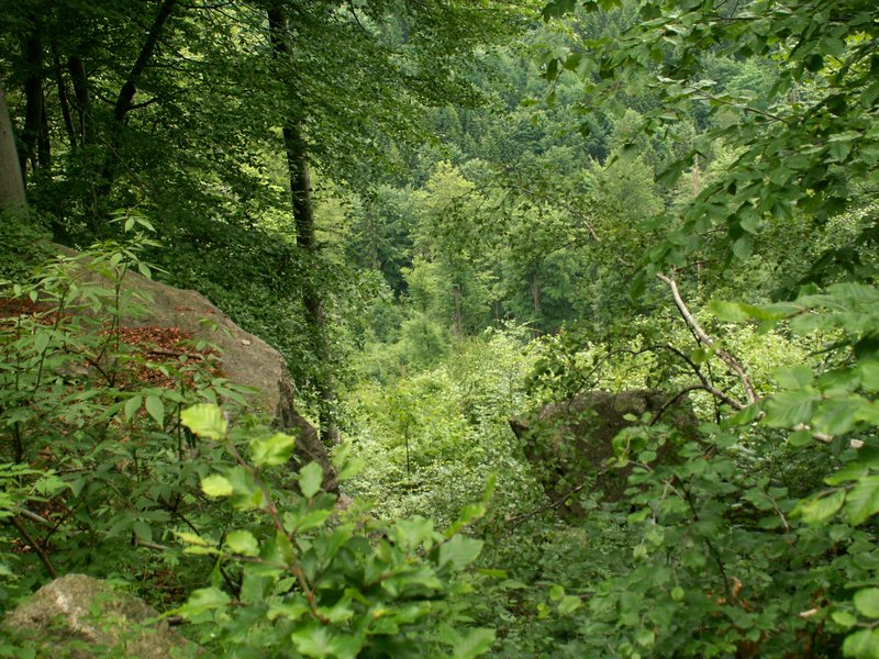 100612_PICT0028.JPG