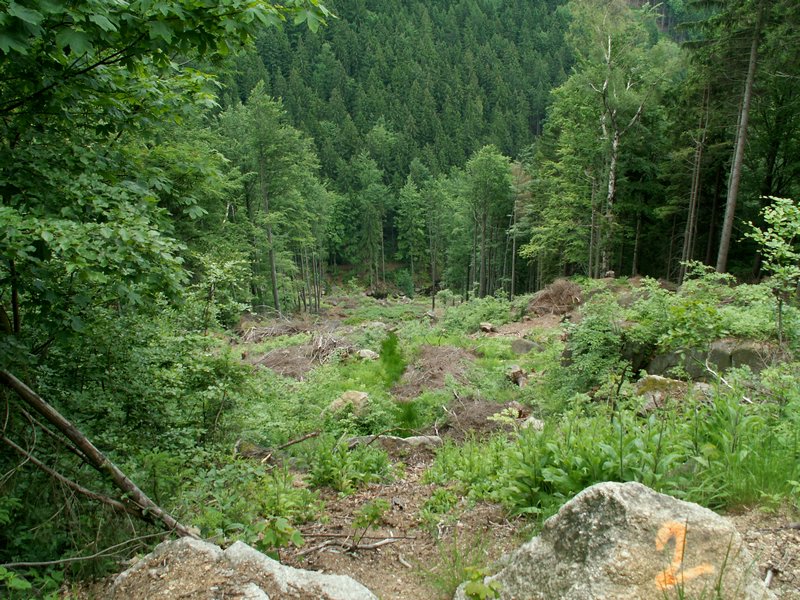 100612_PICT0029.JPG
