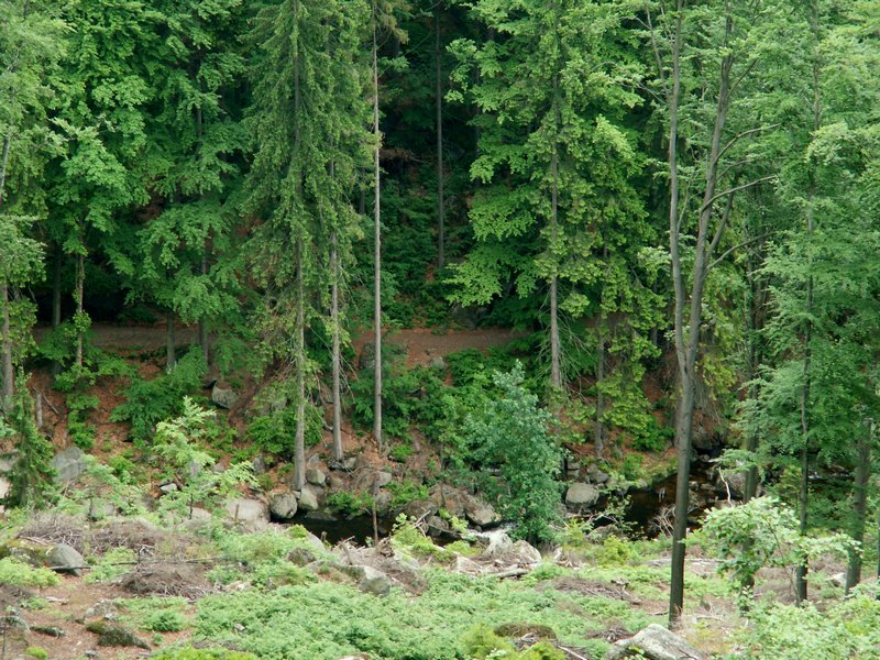 100612_PICT0030.JPG